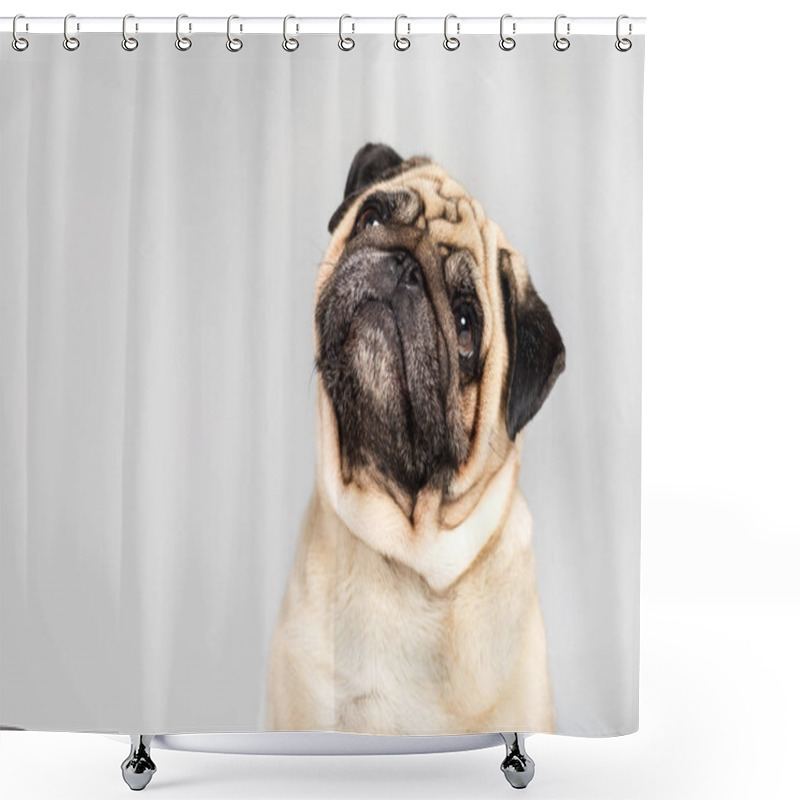 Personality  Funny Pug Dog  Shower Curtains