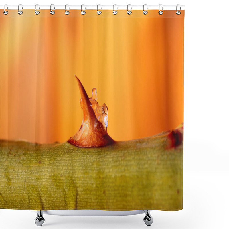 Personality  Rose Thorn Shower Curtains