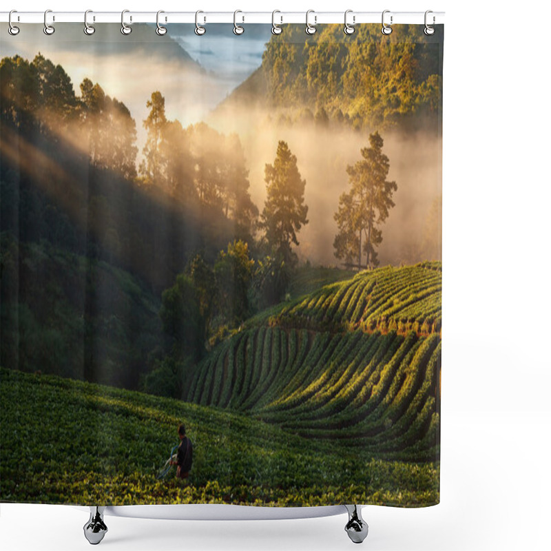 Personality  Man Watering Strawberry Field With Mist Morning Sunrise At Doi Angkhang Mountain Shower Curtains