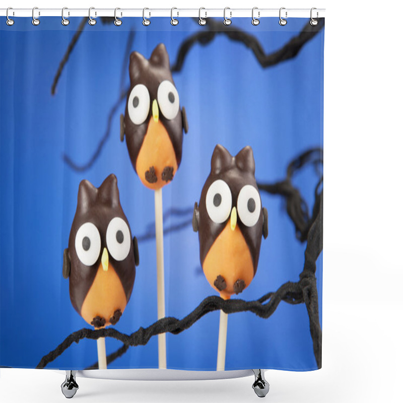 Personality  Owl Cake Pops Shower Curtains