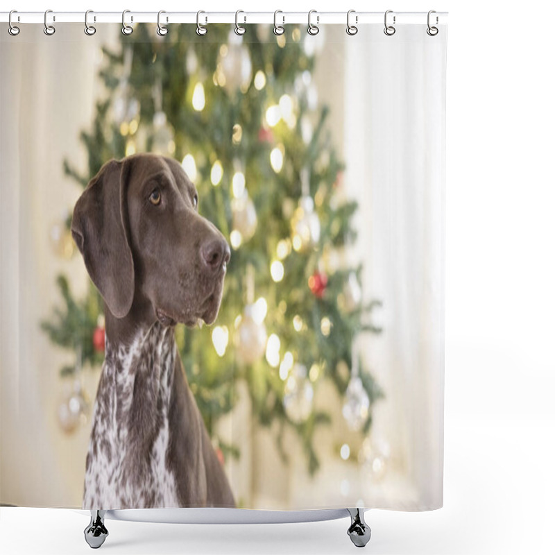 Personality  Close Up Of Dog Looking Away In Front Of Christmas Tree Shower Curtains