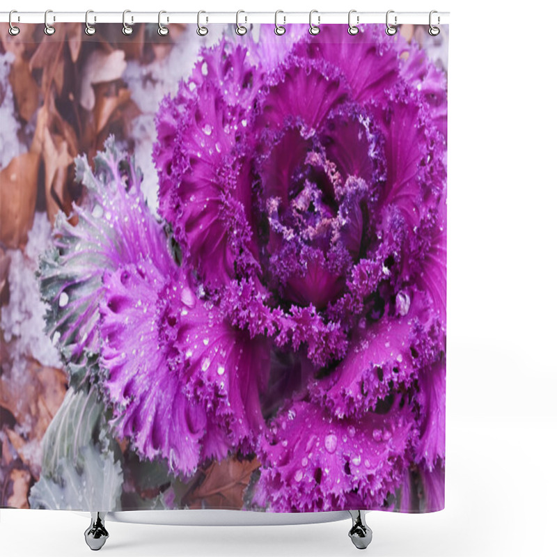 Personality  Decorative Purple Cabbage Shower Curtains