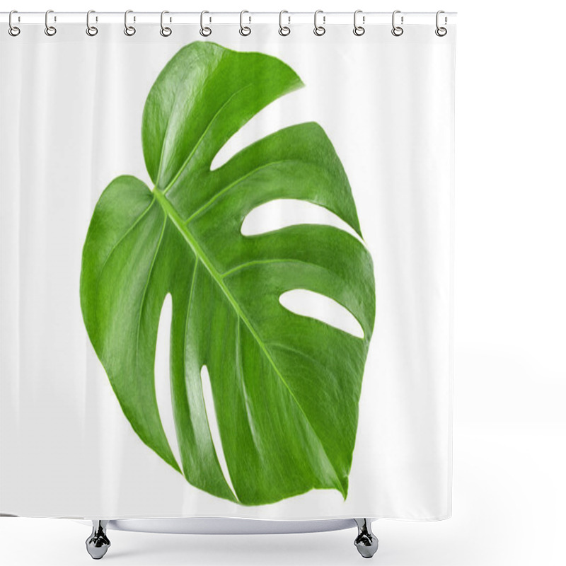 Personality  Monstera Green Jungle Leaf Isolated On White Background Shower Curtains