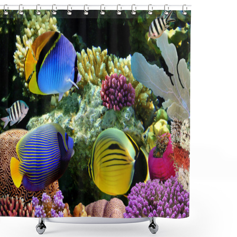 Personality  Photo Of A Coral Colony On A Reef Top Shower Curtains