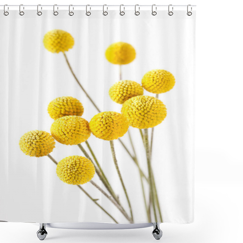 Personality  Nice Flowers Shower Curtains