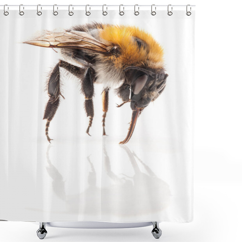 Personality  Bumblebee Shower Curtains