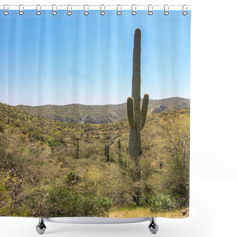 Personality  A Tall Cactus Stands In A Desert Landscape. The Cactus Is Surrounded By A Lush Green Field, And The Sky Is Clear And Blue. Concept Of Tranquility And Serenity Shower Curtains