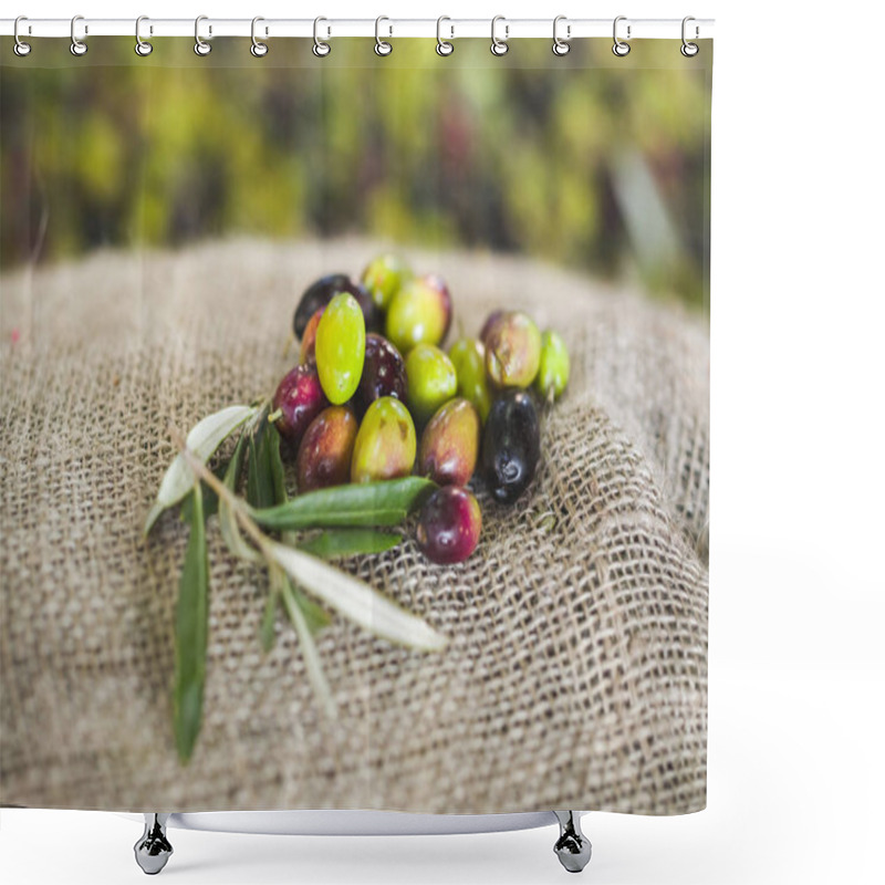 Personality  Making Of Olive Oil Shower Curtains