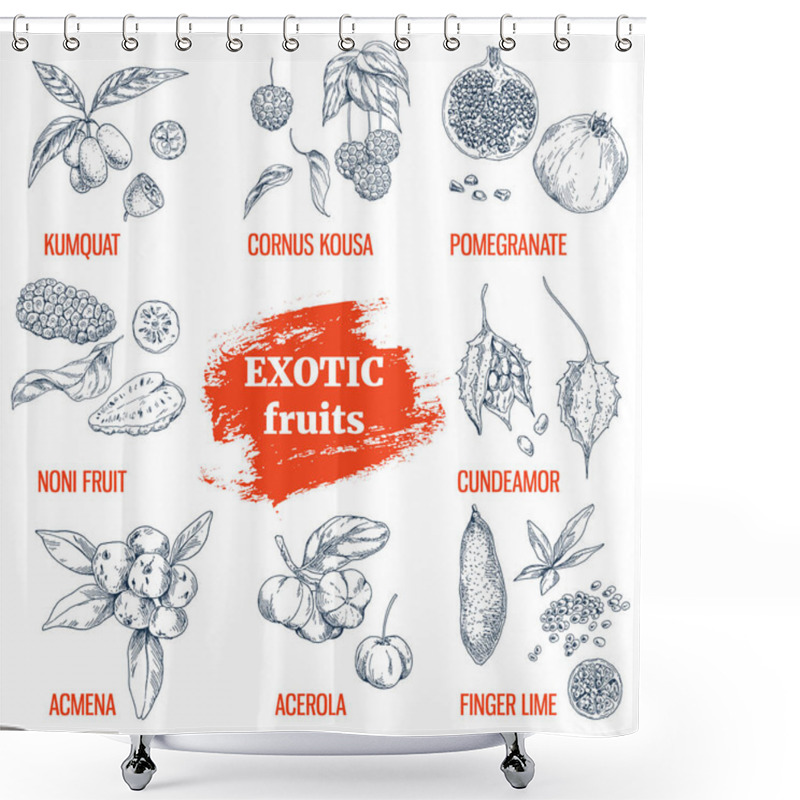 Personality  Exotic Fruits Collection. Hand Drawn Vector Illustration Shower Curtains