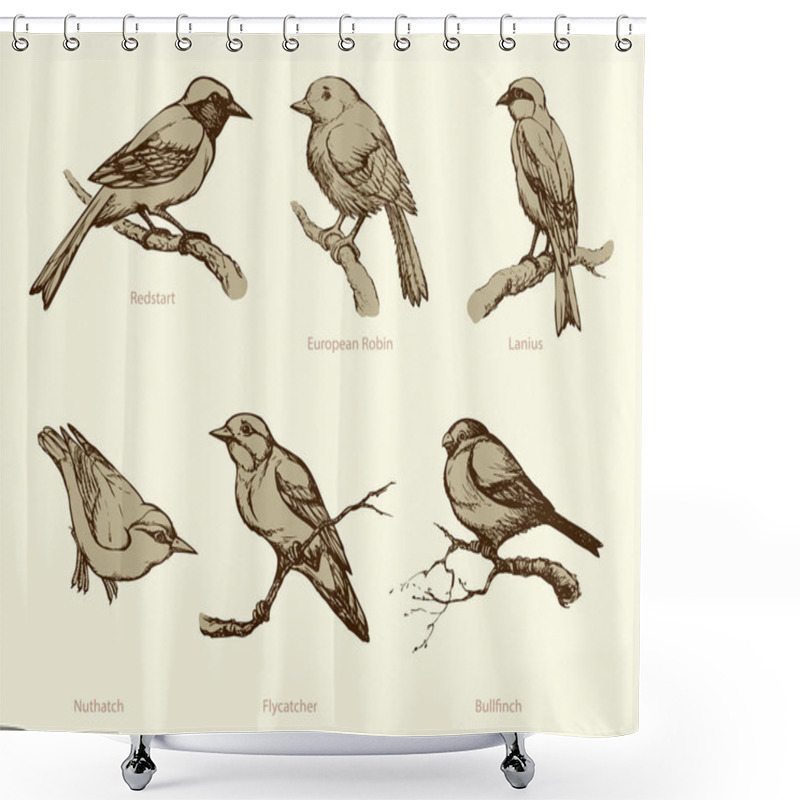 Personality  Vector Set Of Birds: Bullfinch, Redstart, Nuthatch, Flycatcher,  Shower Curtains