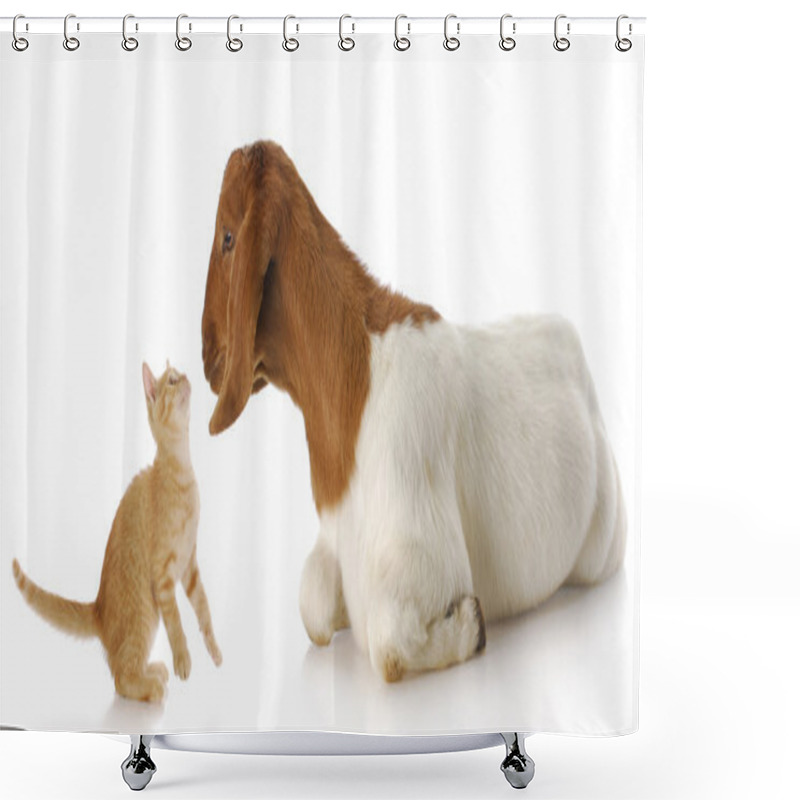 Personality  Farm Animals Shower Curtains