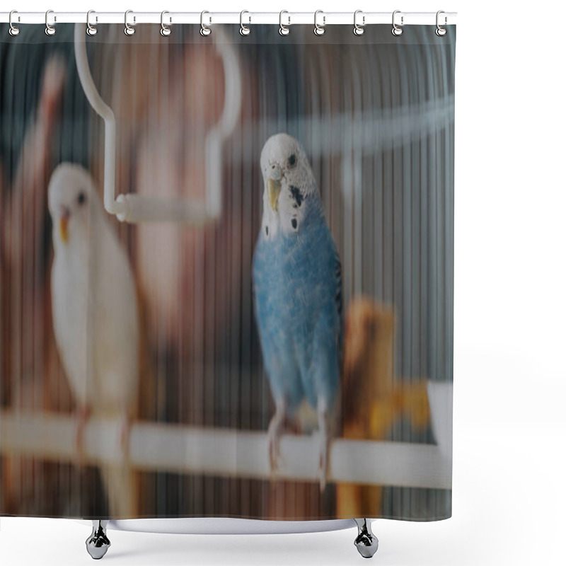 Personality  Two Budgerigars, One Blue And One White, Perched In A Cage, Showcasing Their Colorful Feathers And Curious Demeanor, Embodying Beauty And Companionship. Shower Curtains