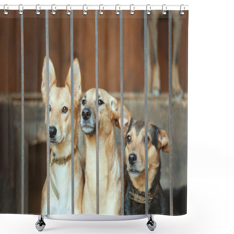 Personality  Homeless Dogs In Animal Shelter Cage Shower Curtains