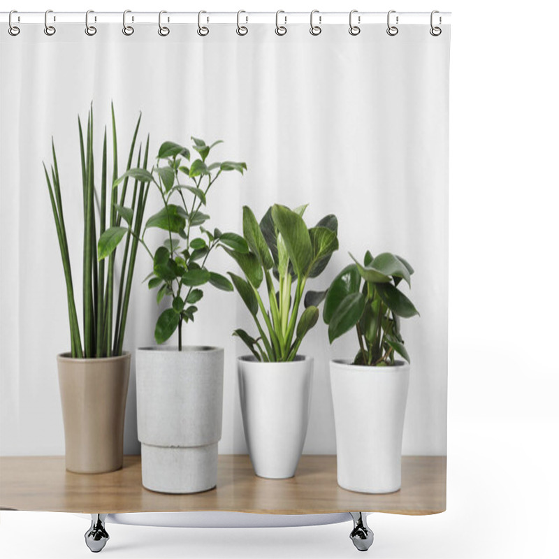 Personality  Many Different Houseplants In Pots On Wooden Table Near White Wall Shower Curtains