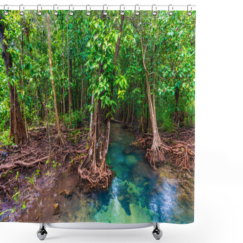 Personality  Mangrove Trees With The Turquoise Green Water Stream Shower Curtains