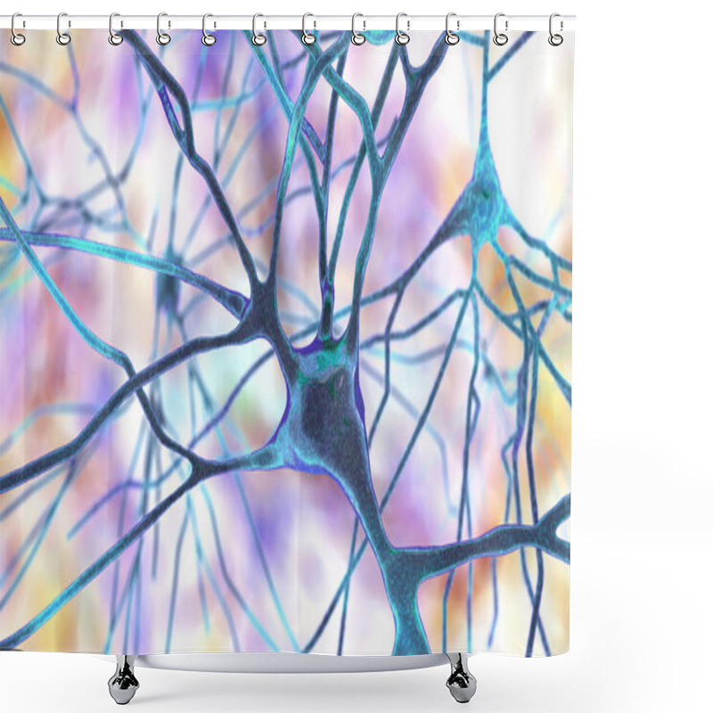 Personality  Pyramidal Neurons Of The Human Brain Cortex, 3D Illustration Shower Curtains