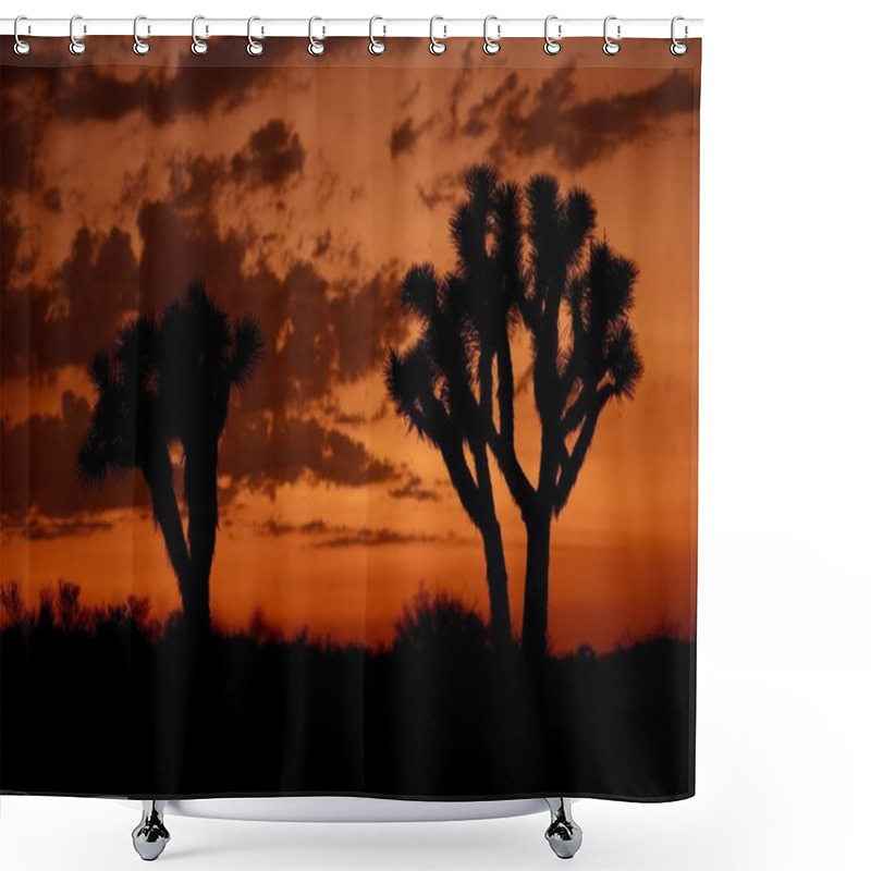 Personality  Mojave Desert Sunset Shower Curtains