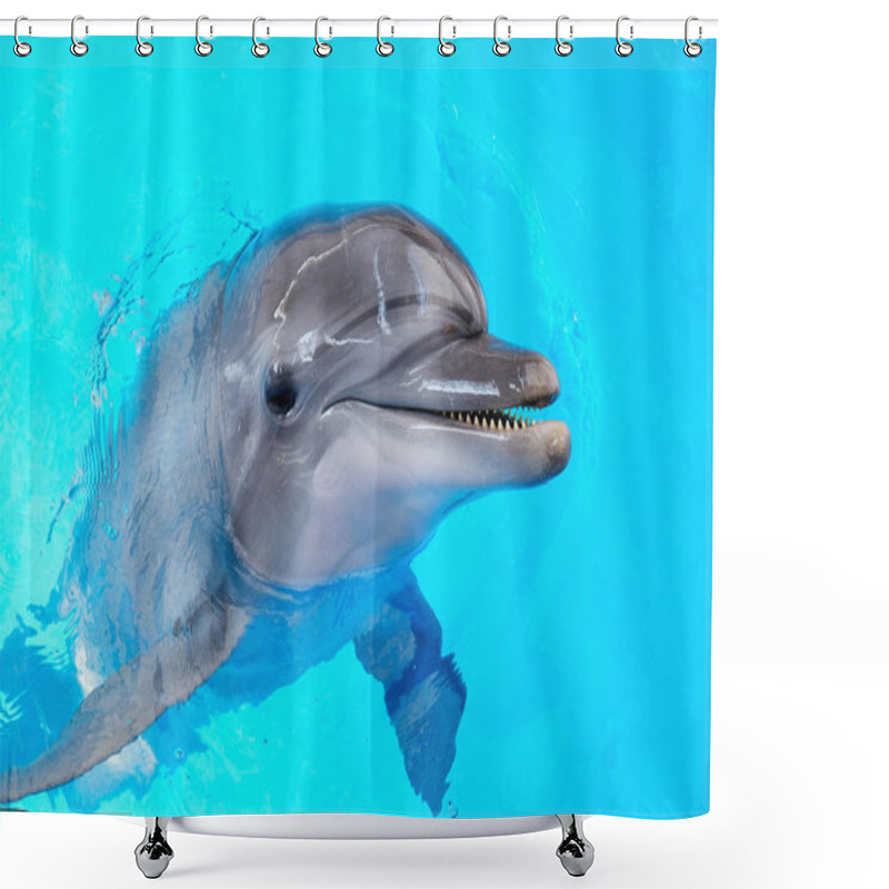 Personality  Happy Smiling Bottlenose Dolphin Playing In Blue Water In Sea. Shower Curtains