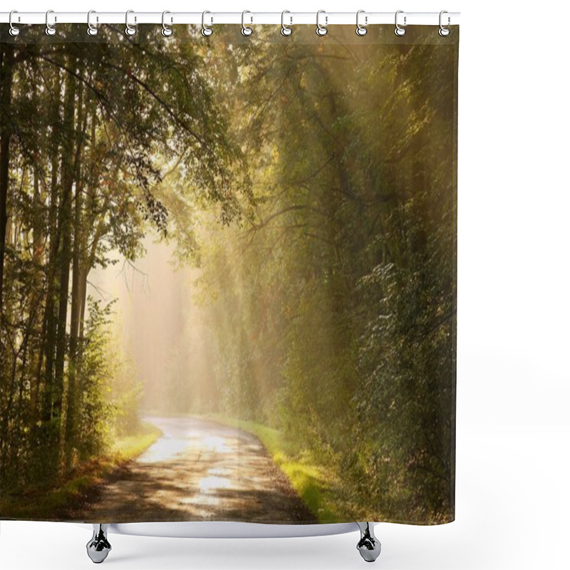 Personality  Country Road In Autumn Forest Shower Curtains