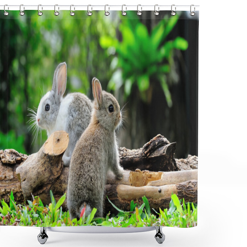 Personality  Rabbit Shower Curtains