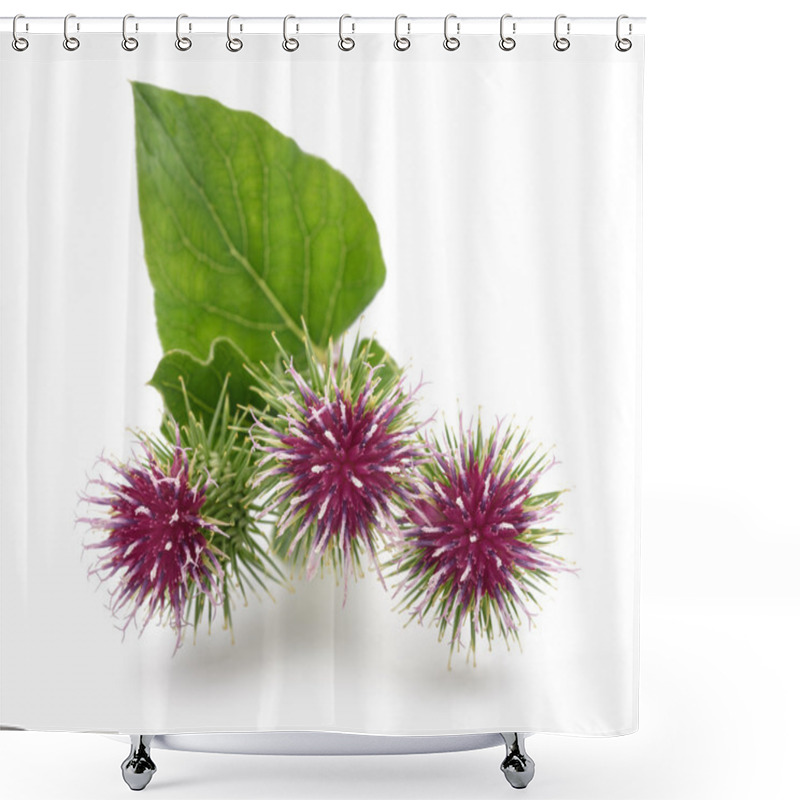 Personality  Greater Burdock Flowers Shower Curtains