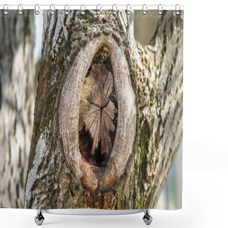 Personality  Close Up View Of Old Chopped Off Tree Branch. Shower Curtains