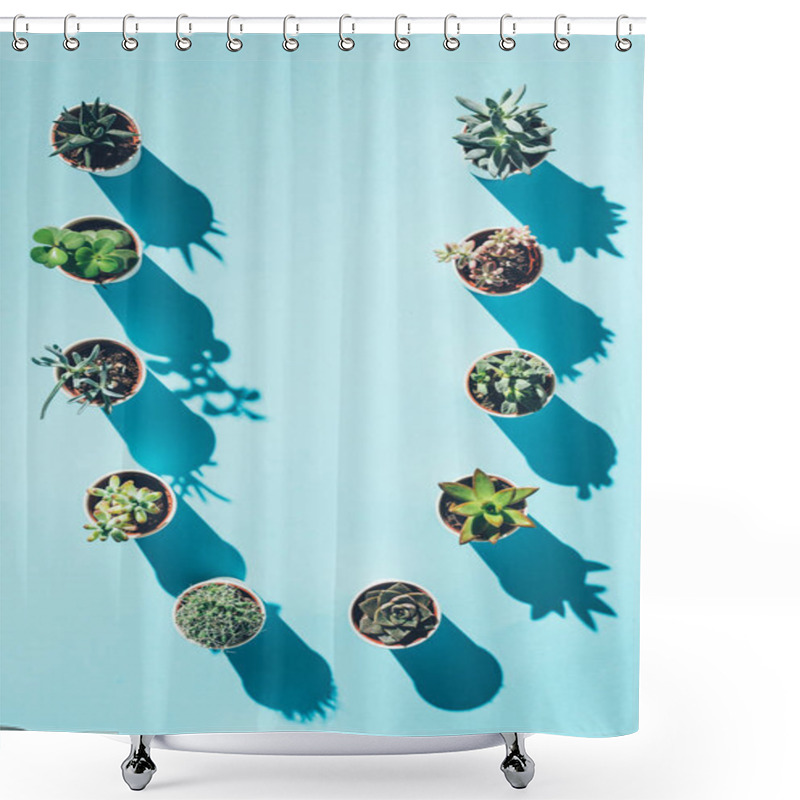 Personality  Top View Of Letter U Made From Green Potted Plants On Blue  Shower Curtains