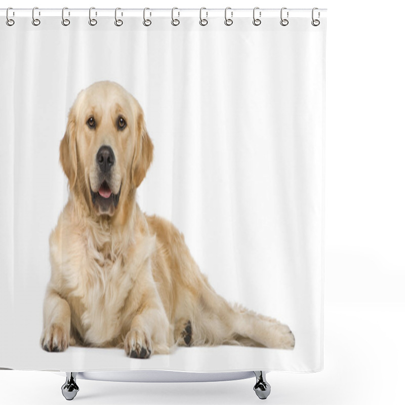 Personality  Golden Retriever (2 Years) Shower Curtains