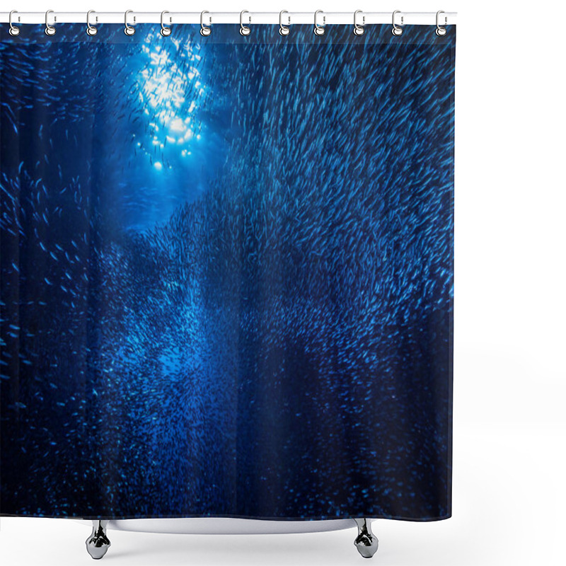 Personality  Shoal Of Small Tiny Fish In Underwater Cave Against Light Rays From Entrance Shower Curtains