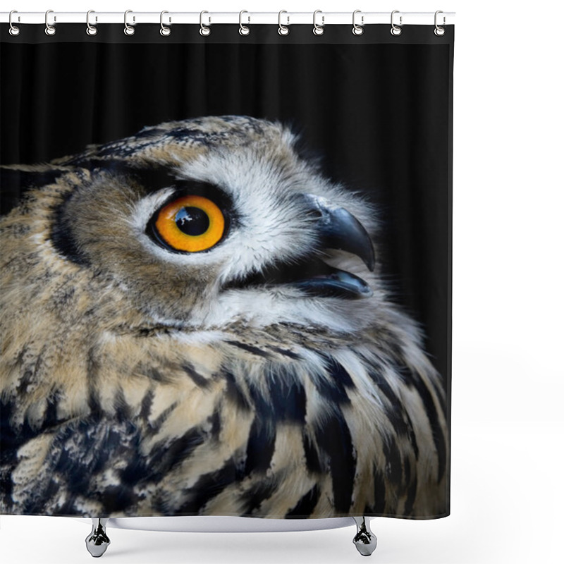 Personality  Beautiful Owl (taked At 1600 Iso) Shower Curtains