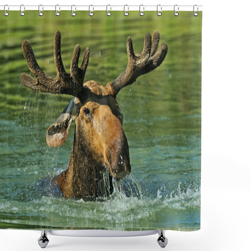 Personality  Elk Forest Shower Curtains