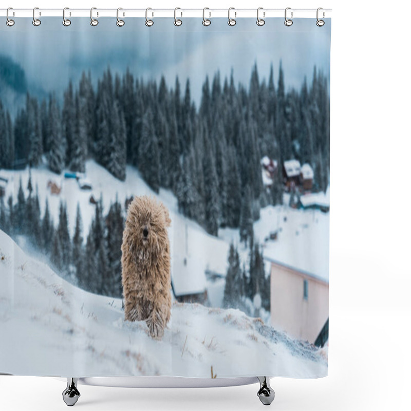 Personality  Cute Fluffy Dog In Snowy Mountains With Pine Trees Shower Curtains