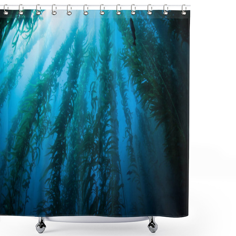 Personality  Beautiful Kelp Forest In California Shower Curtains