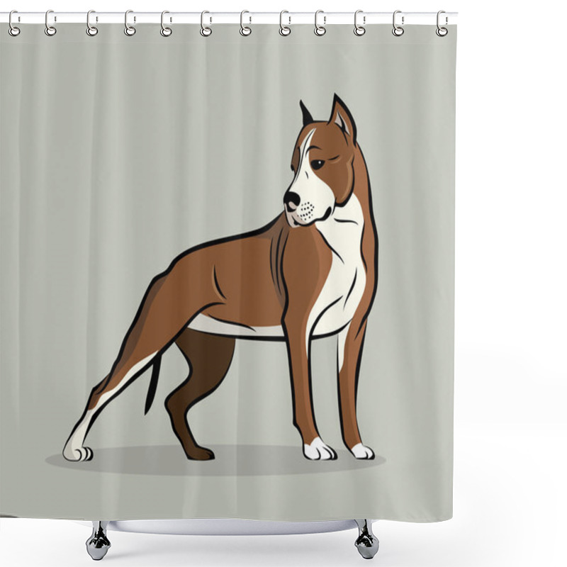 Personality  Pit Bull Terrier Shower Curtains