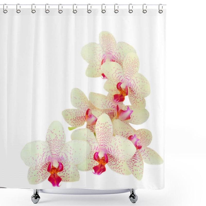 Personality  Pile Of Orchid Flowers Shower Curtains