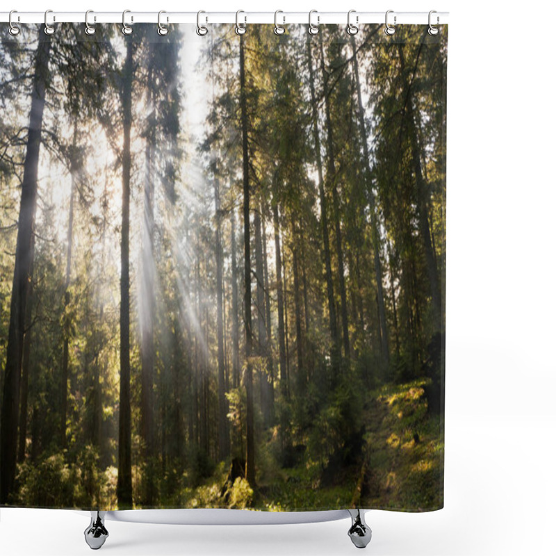 Personality  Forest Shower Curtains