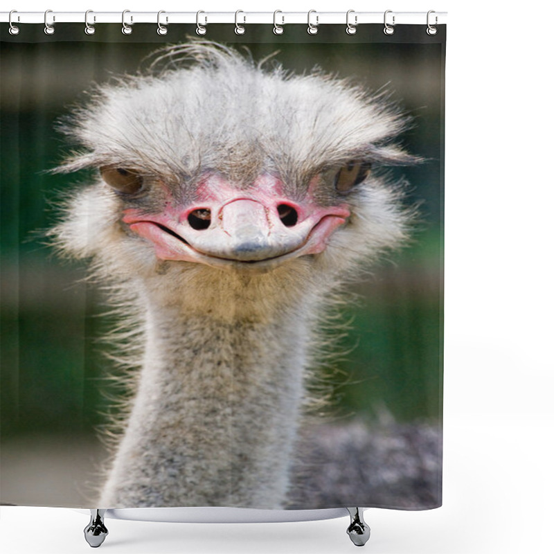 Personality  Ostrich Portrait Shower Curtains