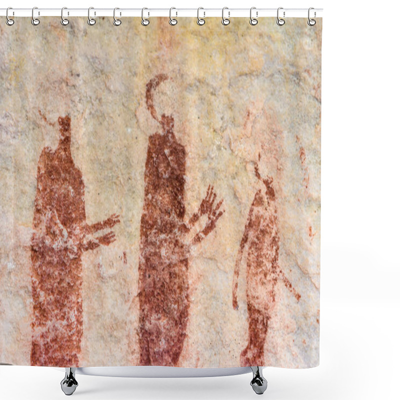 Personality  San Rock Art In Cederberg Mountains South Africa Shower Curtains