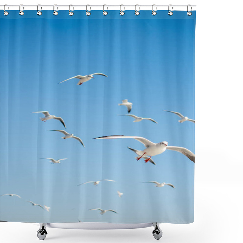 Personality  Seagulls Flying In The Sky Background Shower Curtains