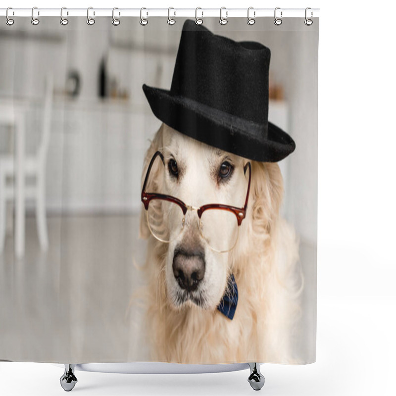 Personality  Cute Adorable Golden Retriever In Hat And Glasses In Apartment  Shower Curtains