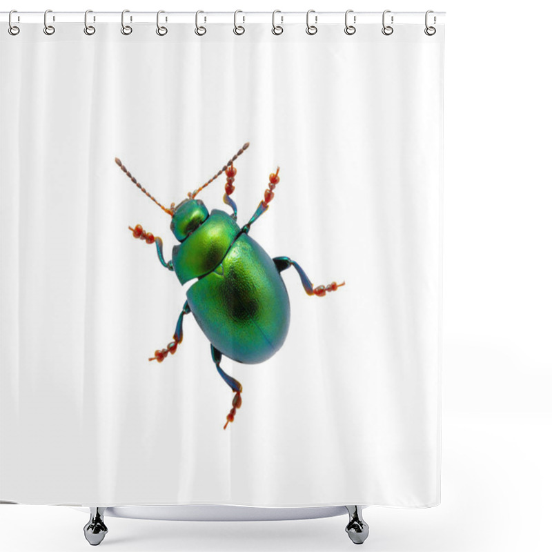 Personality  Green Beetle Shower Curtains