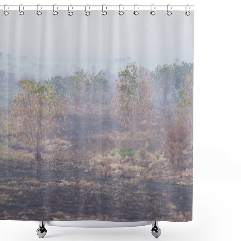 Personality  Landscape Burned After Forest Fire In The Ivinhema River Floodpl Shower Curtains