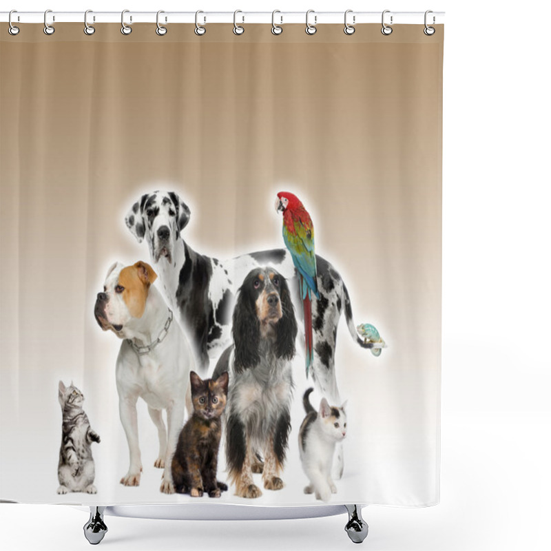 Personality  Group Of Pets Standing In Front Of White And Brown Background, Studio Shot Shower Curtains