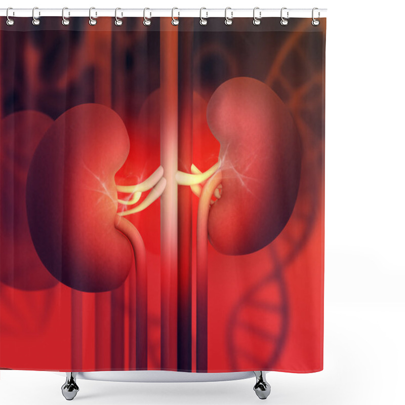 Personality  Human Kidney Shower Curtains