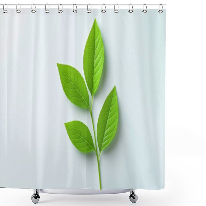 Personality  A Minimalist Image Of Vibrant Green Leaves Against A Light Background, Highlighting The Natural Details And Elegant Symmetry. Perfect For Eco-friendly And Nature-themed Projects. Shower Curtains