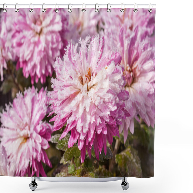 Personality  Pink Flowers With Sparkling Frost, Highlighting The Unique Blend Of Fragility And Winter. Shower Curtains