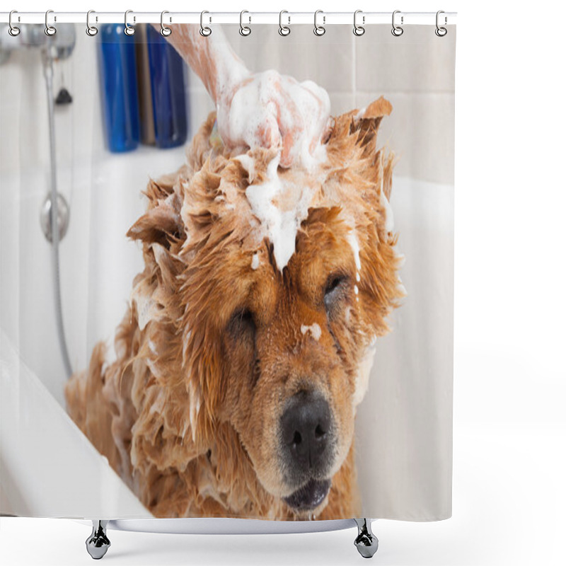 Personality  Bathroom To A Dog Chow Chow Shower Curtains