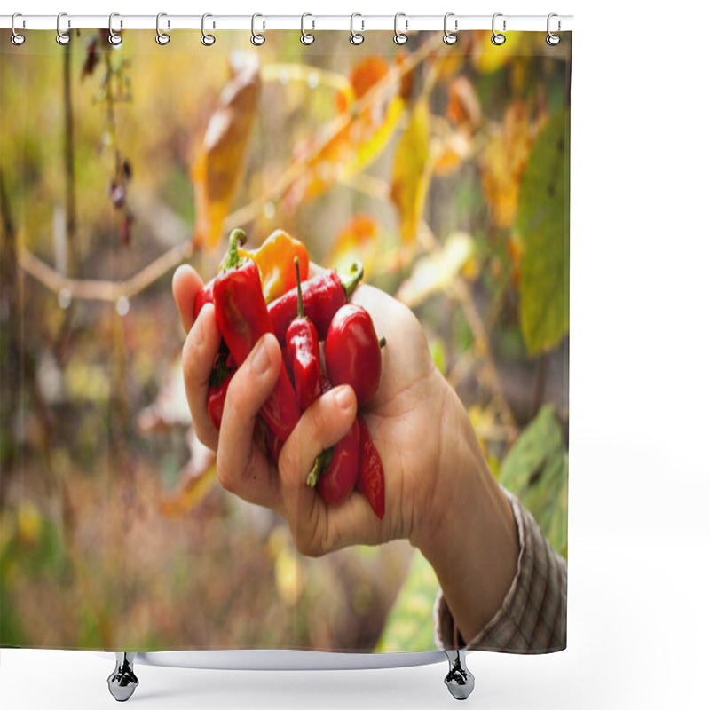 Personality  Female Hand Holding A Bunch Home Produced Of Red Chilly Peppers Outdoors Shower Curtains