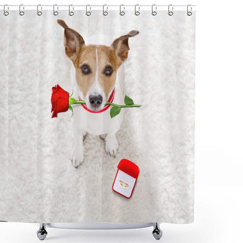 Personality  Wedding Proposal Dog With Marraige Ring  Shower Curtains