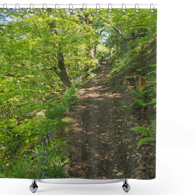 Personality  Narrow Path Through Vibrant Green Spring Woodland  Shower Curtains